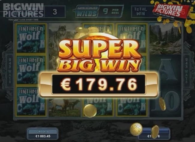 EUR 230 Free Cash at Wix Stars Casino