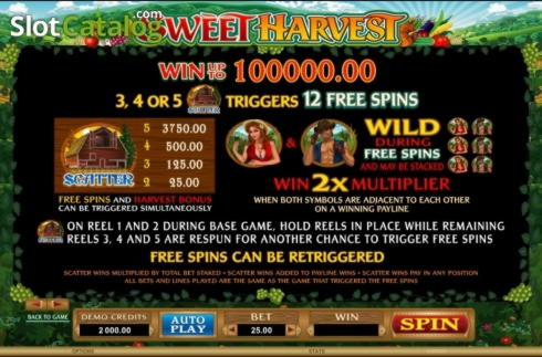 80% Signup Casino Bonus at Wix Stars Casino