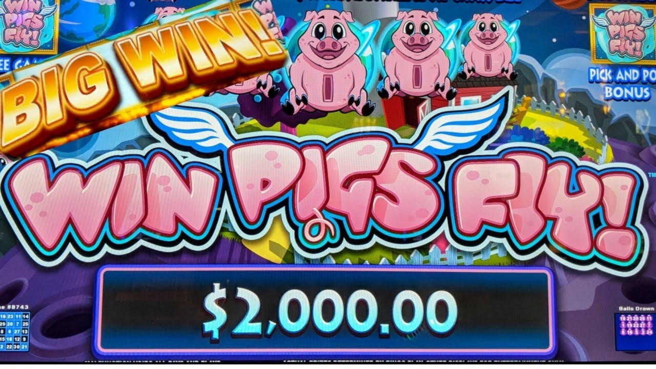 $360 Casino tournaments freeroll at Genesis Casino