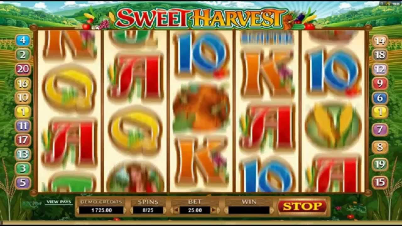 €290 Free Money at Dream Dubai Casino