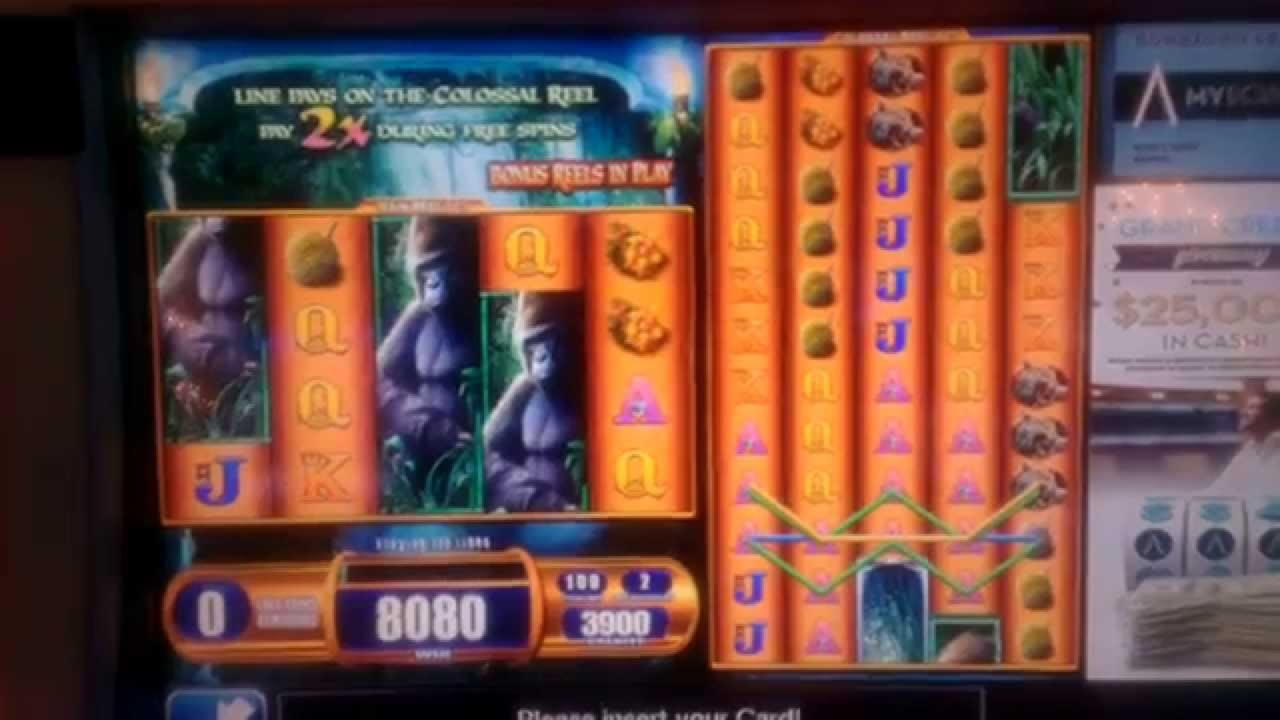 $245 Casino Chip at Dunder Casino