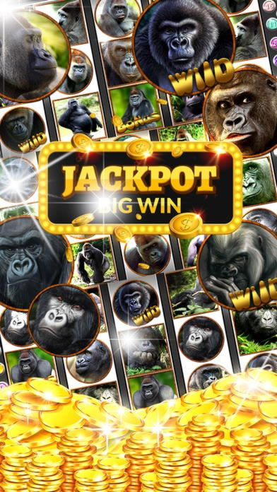 €385 No deposit casino bonus at Casino Shadowbet