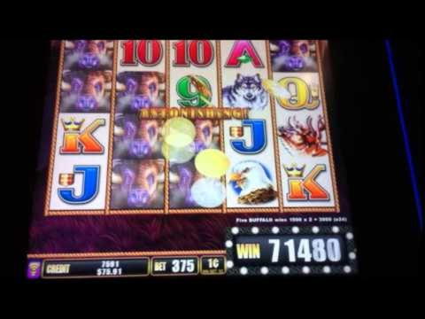 €875 Daily freeroll slot tournament at Mansion Bet Casino