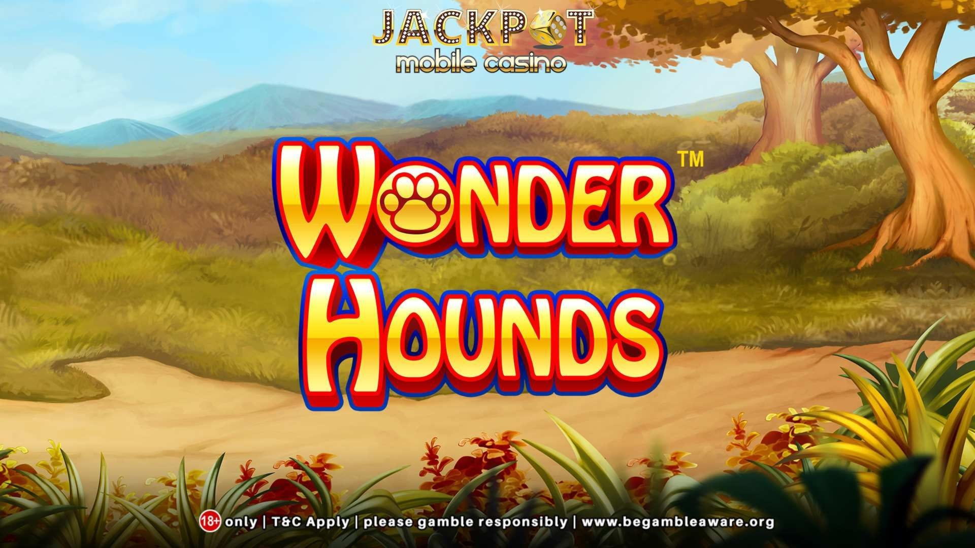 545% Signup Casino Bonus at Volt Casino
