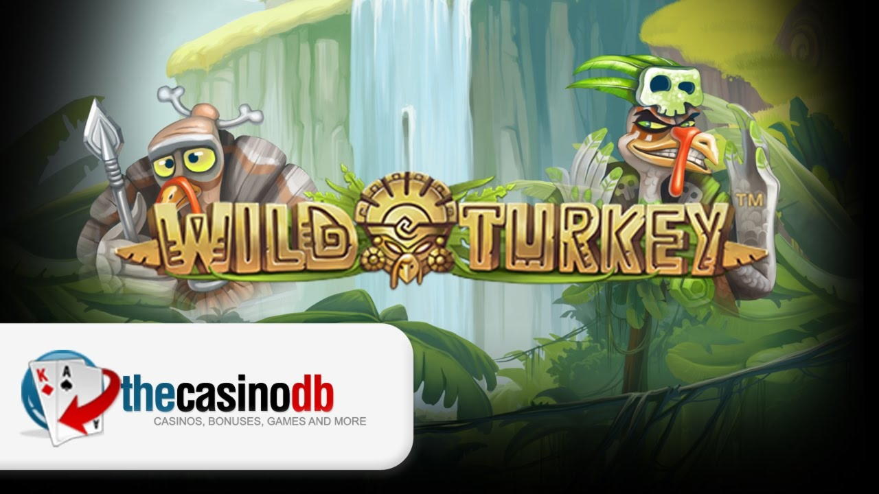 €950 Tournament at Winner Casino