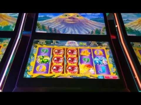€585 Free Chip Casino at Casino Shadowbet