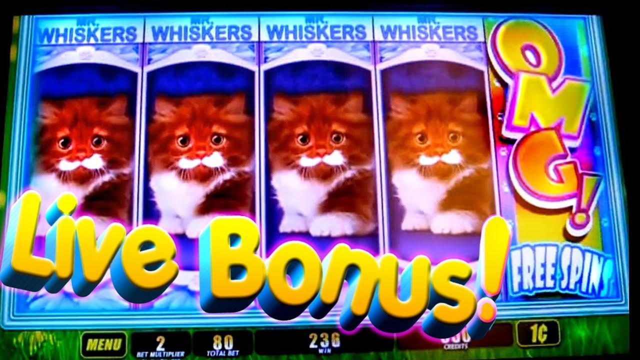 635% No Rules Bonus! at Vegas Hero Casino
