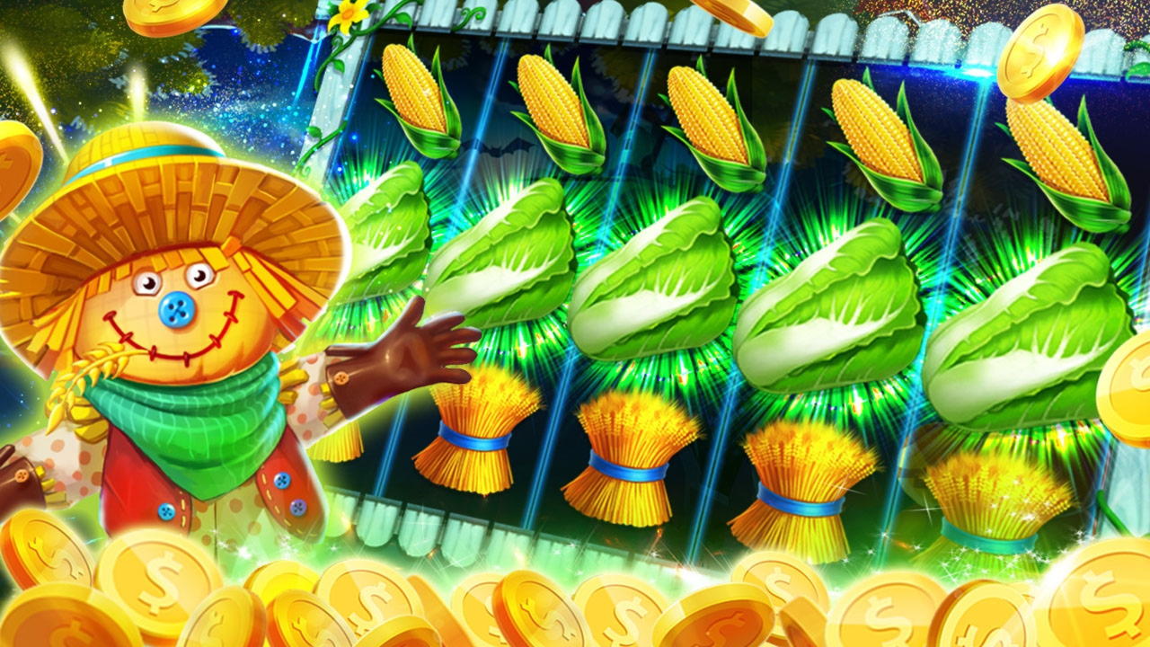 $860 Daily freeroll slot tournament at Sloty Casino