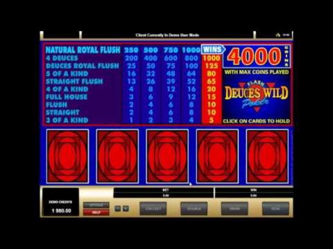 530% Casino match bonus at Hopa Casino