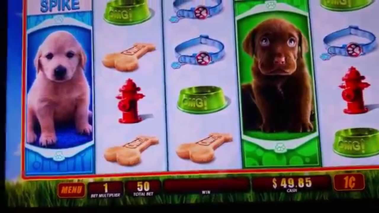 €445 Free chip casino at Casimba Casino