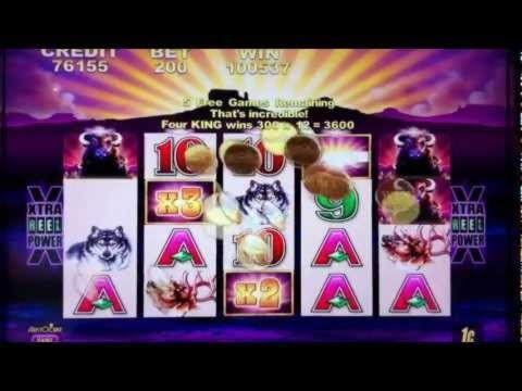 255 Free Spins Casino at Winner Casino