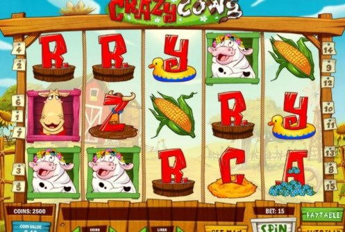 55 FREE Spins at CasiPlay Casino