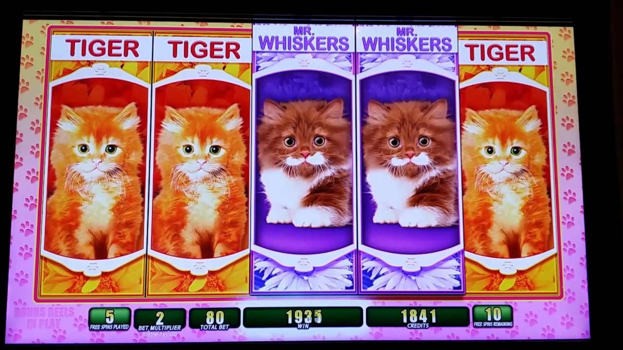 280 free spins casino at Dunder Casino