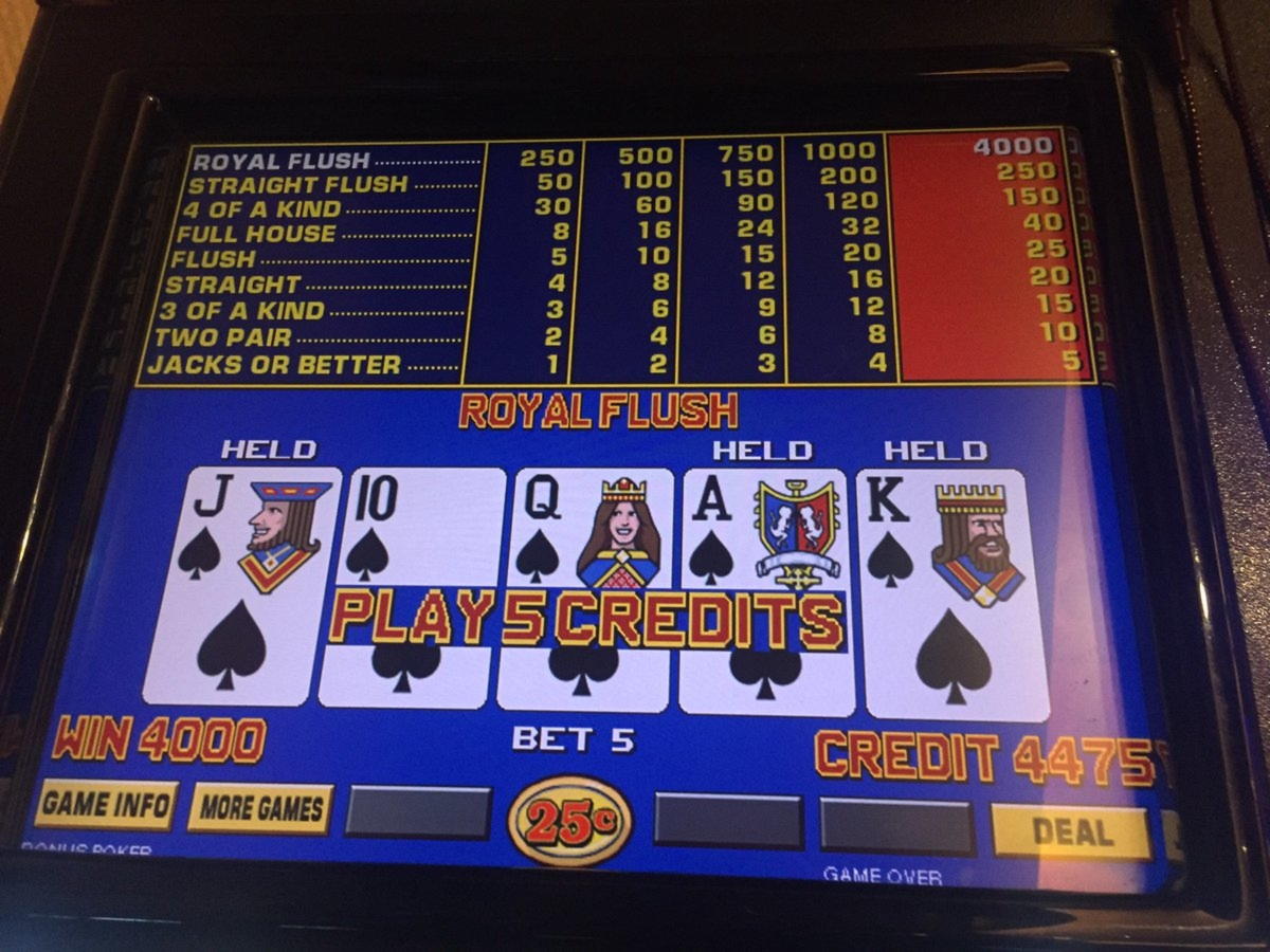 505% Best signup bonus casino at Royal Panda Casino