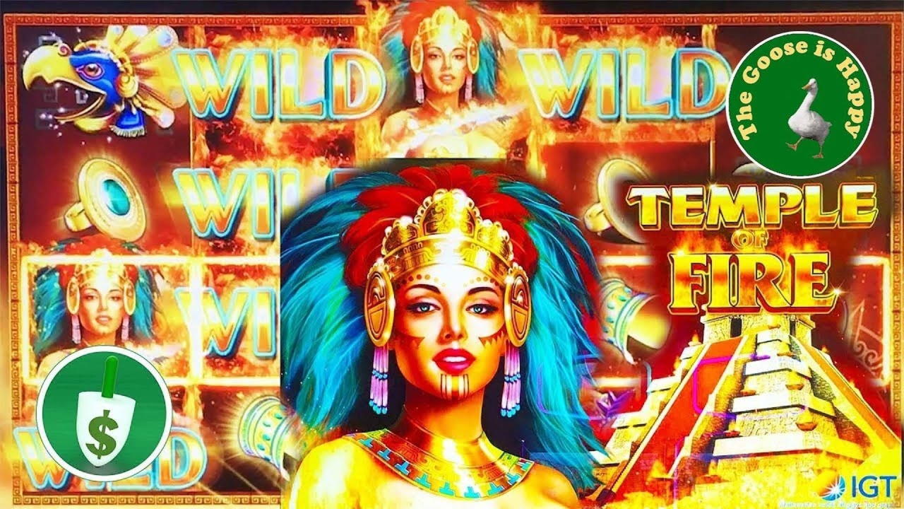 305% Best Signup Bonus Casino at Casino com