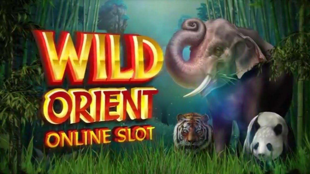 €510 FREE CHIP at Magic Red Casino