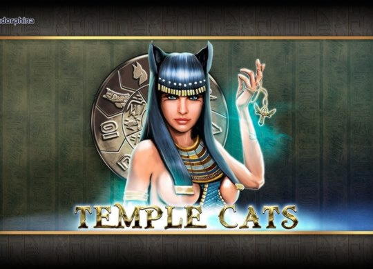 $750 Daily freeroll slot tournament at Casino Shadowbet