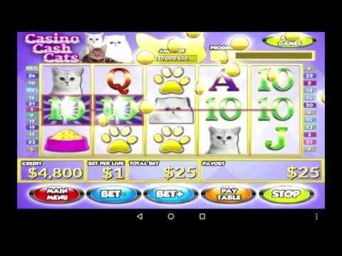 €3665 No deposit at Sloty Casino