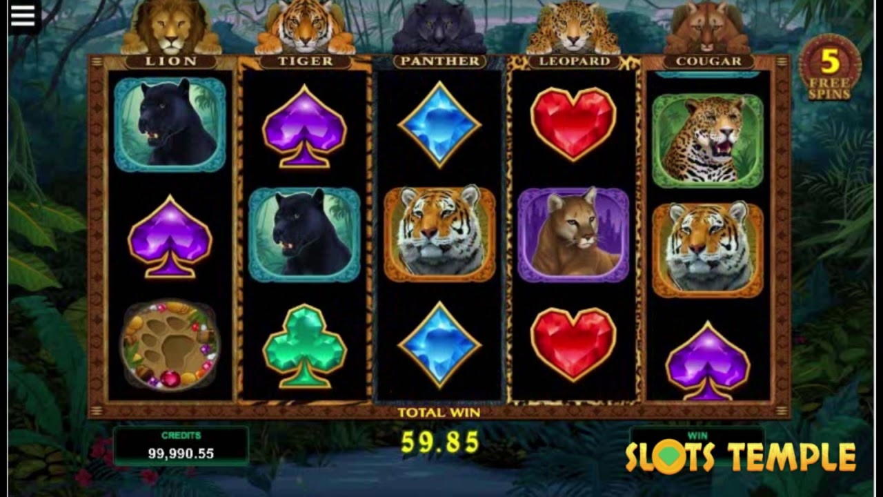 EURO 740 Mobile freeroll slot tournament at Casimba Casino