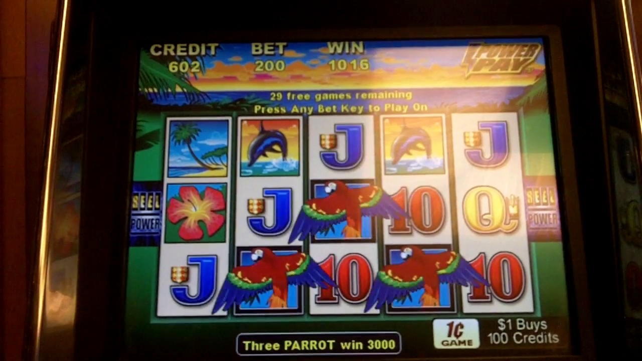 995% Signup Casino Bonus at Dream Dubai Casino