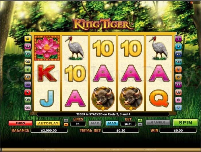 850% Match at a casino at Bet Hard Casino