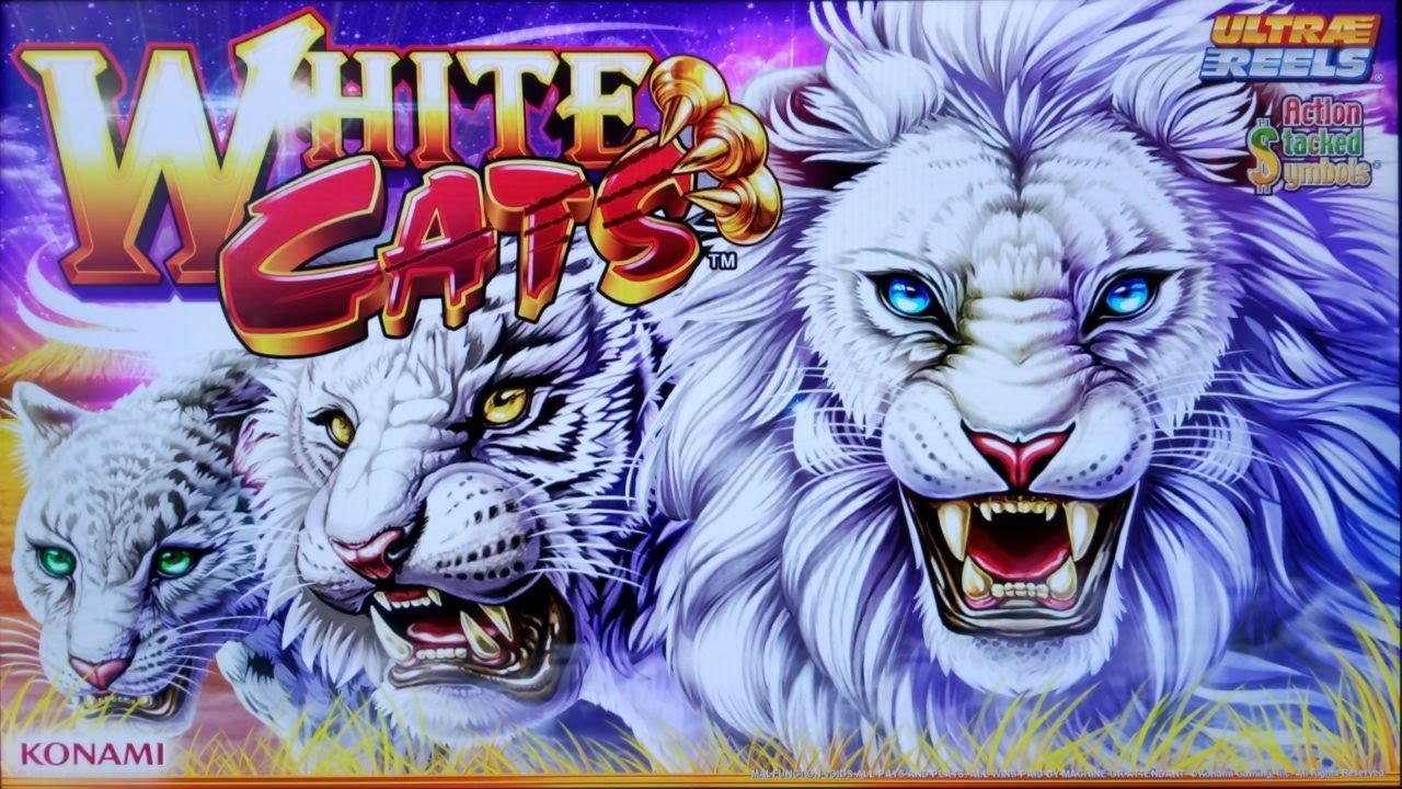 580% Casino Welcome Bonus at Casino com