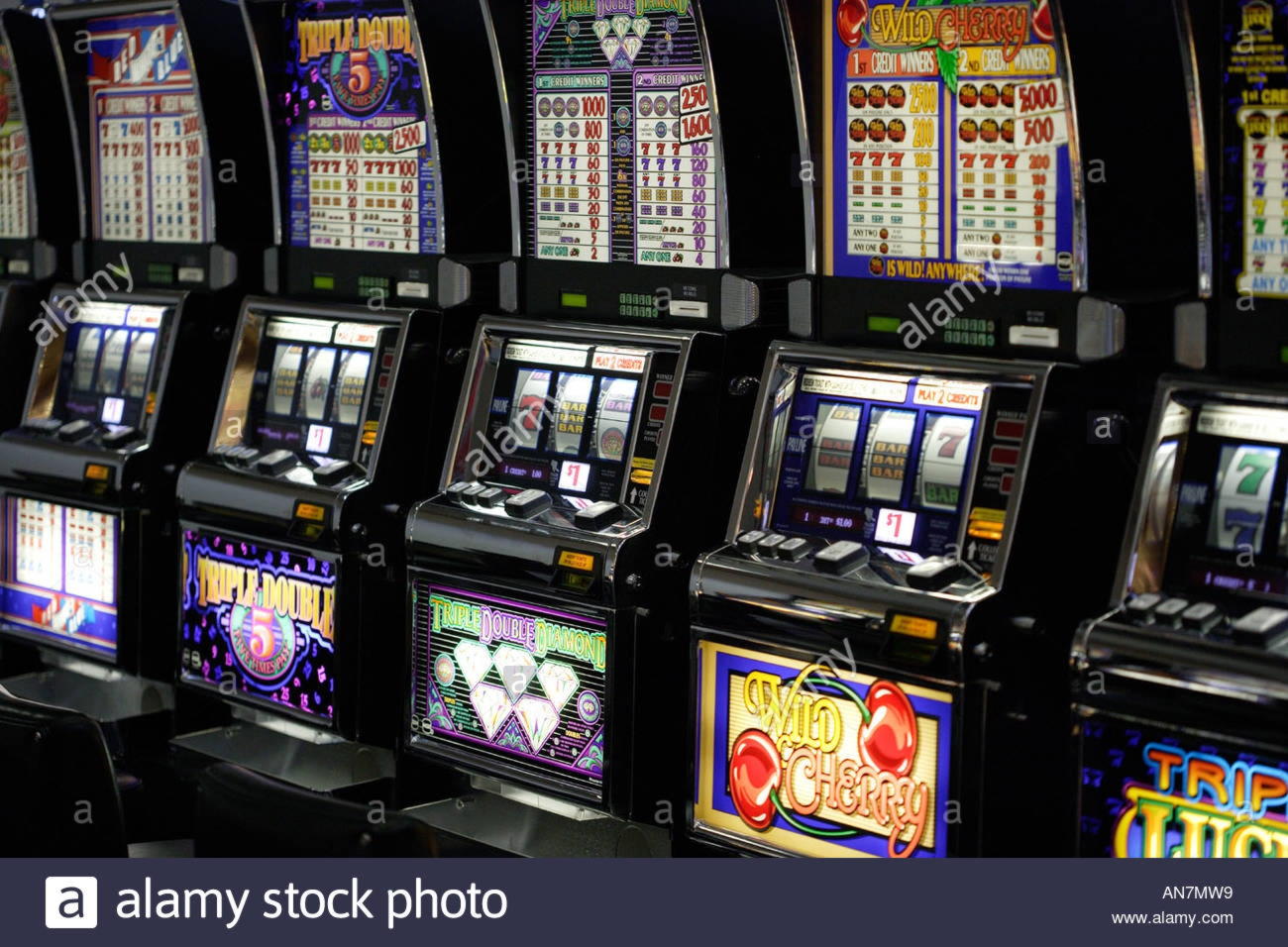 345% Match at a casino at Dunder Casino