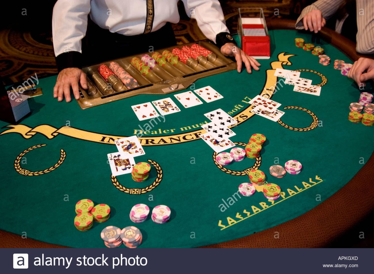 20 Loyal Free Spins! at Casino Shadowbet