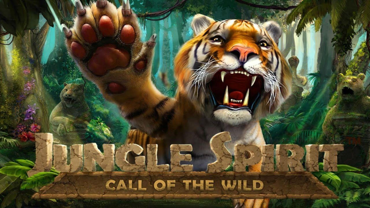 £825 Casino tournaments freeroll at Leo Dubai Casino