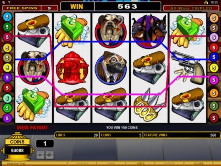 240% No Rules Bonus! at Volt Casino
