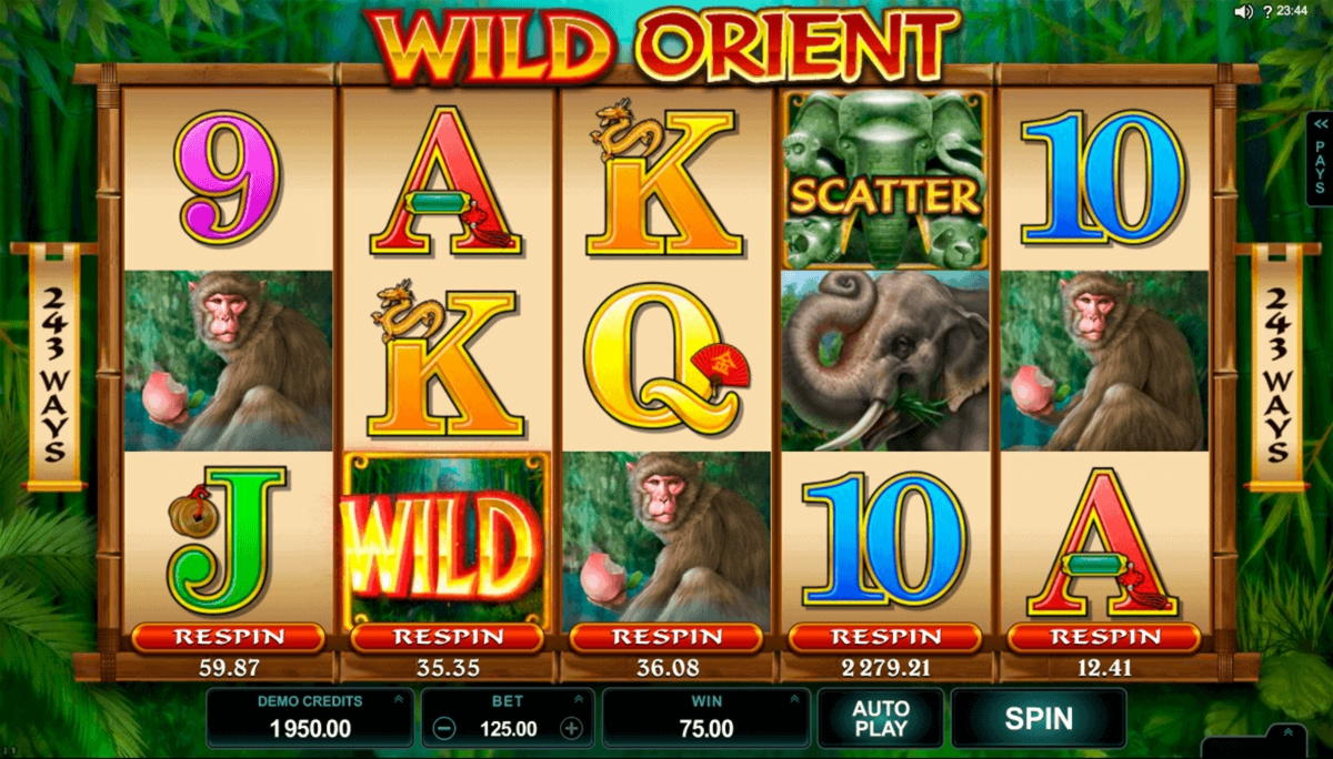 EURO 4750 No Deposit Casino Bonus at Hopa Casino