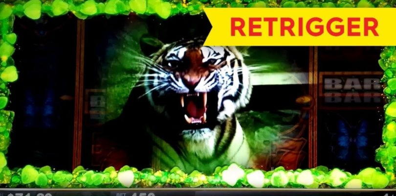Eur 290 Casino tournaments freeroll at Hopa Casino