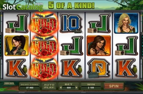 605% Deposit Match Bonus at Wix Stars Casino