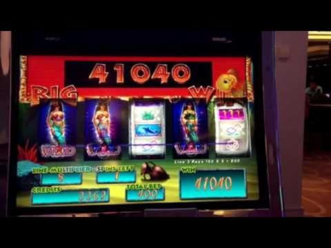 530% casino match bonus at Bet Hard Casino