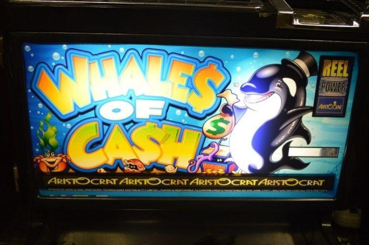 850% Best Signup Bonus Casino at Mansion Bet Casino