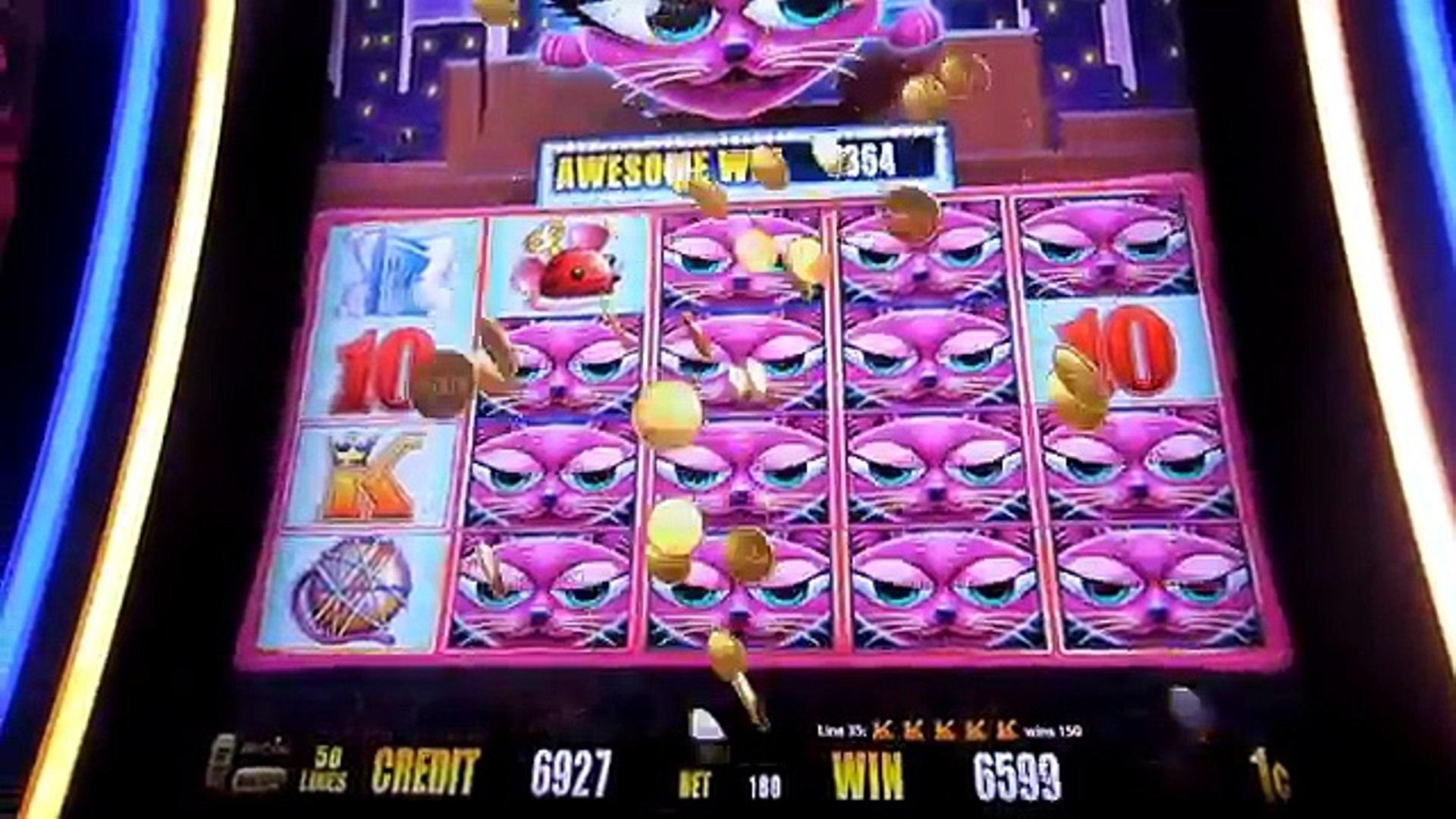 135 FREE Spins at Dunder Casino