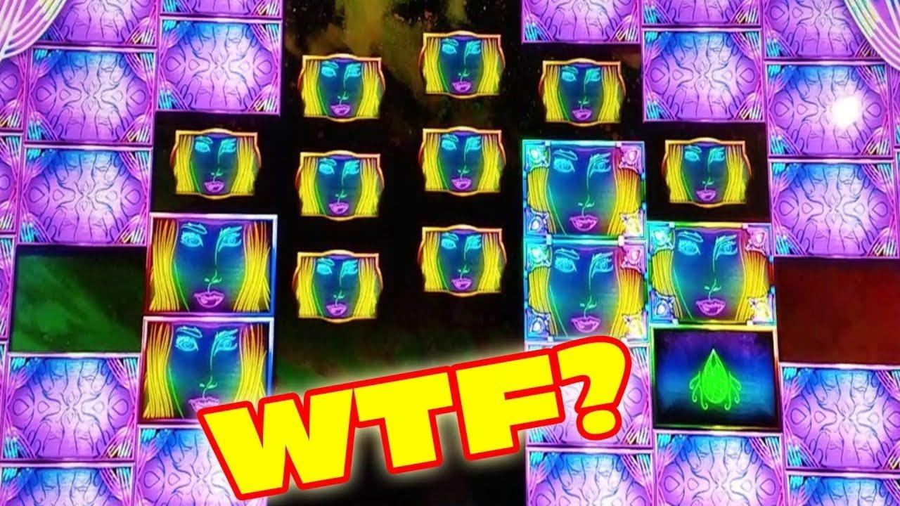 65 Loyalty Free Spins! at CasiPlay Casino
