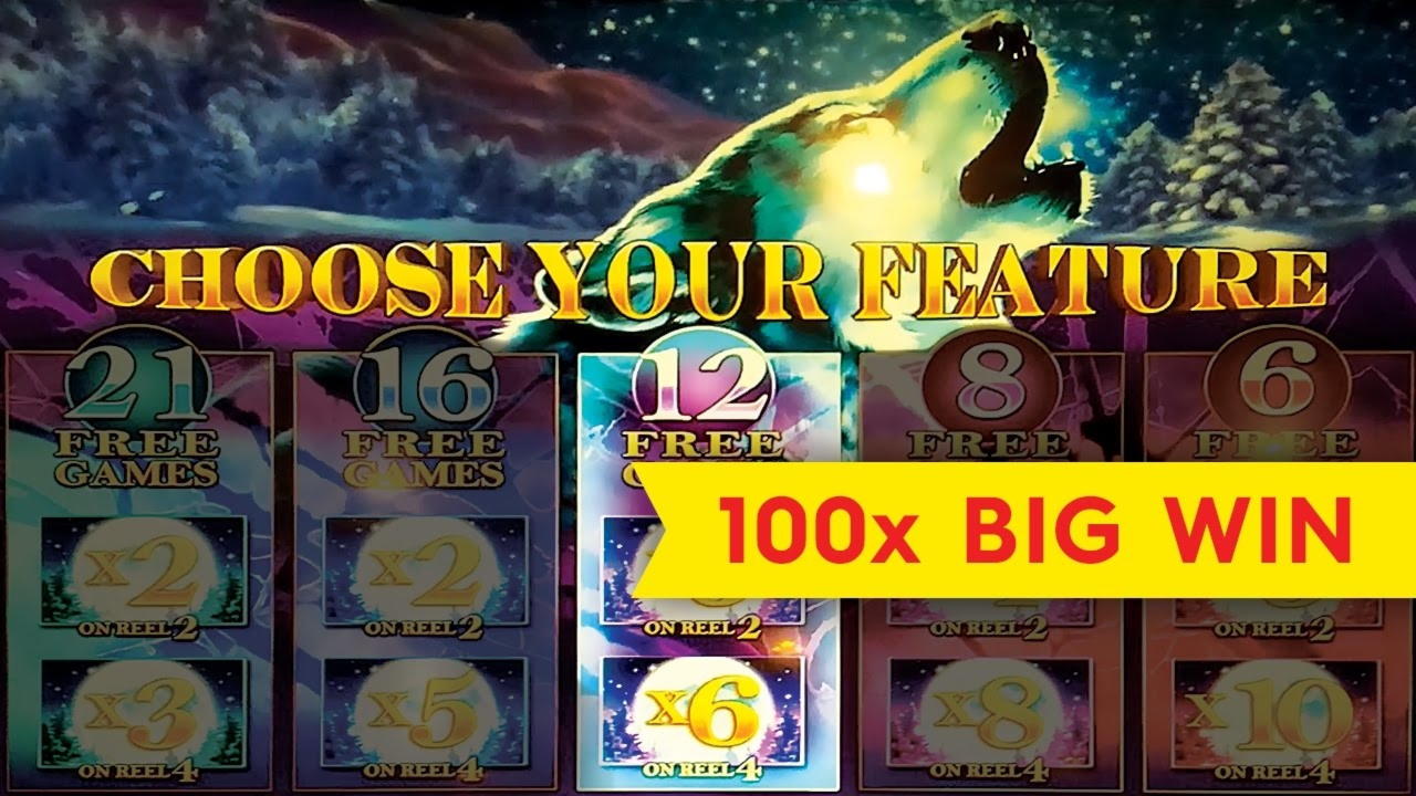 365% Signup Casino Bonus at Hopa Casino