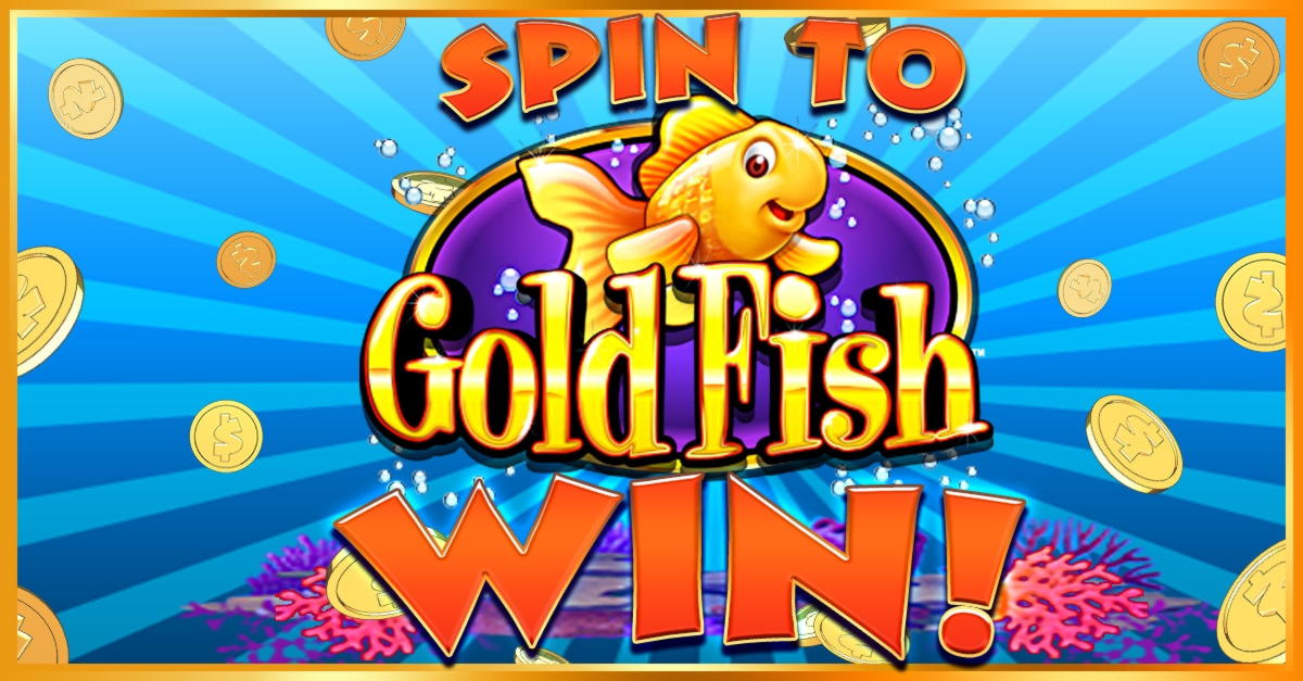 €50 Casino chip at Hopa Casino