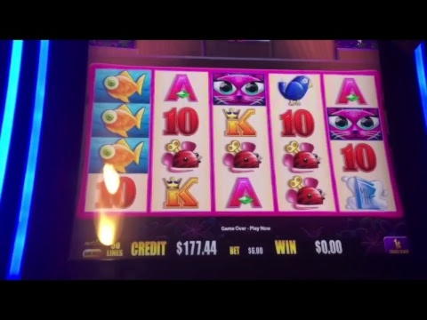 €915 no deposit at Red Spins Casino