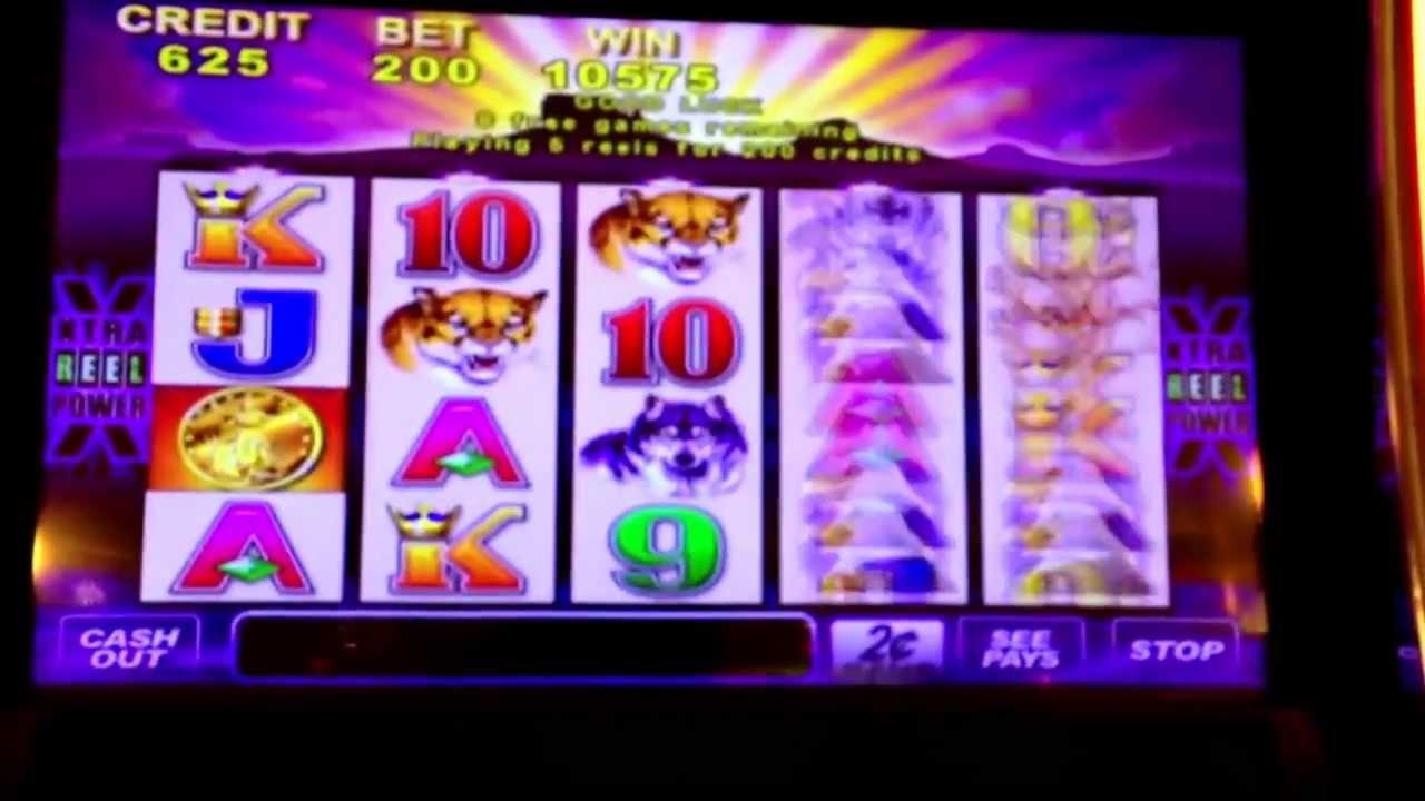 EUR 165 Casino tournaments freeroll at Dunder Casino