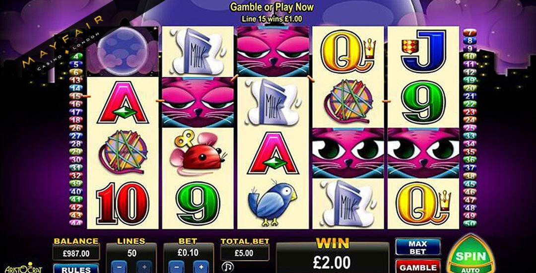 EURO 940 Casino Tournament at Volt Casino