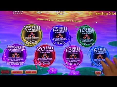 160 free spins no deposit at Casimba Casino