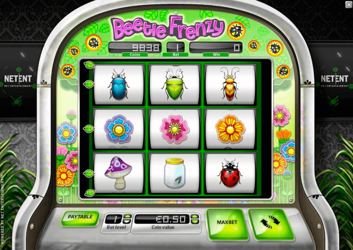 €2465 no deposit bonus casino at Grandivy Casino