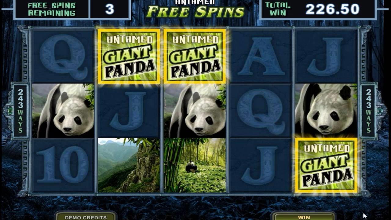 €70 no deposit bonus casino at Casino com