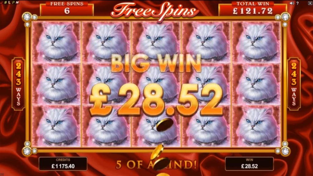 115% Deposit Match Bonus at Dream Dubai Casino