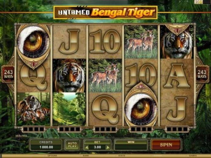 EURO 385 FREE CHIP CASINO at Winner Casino