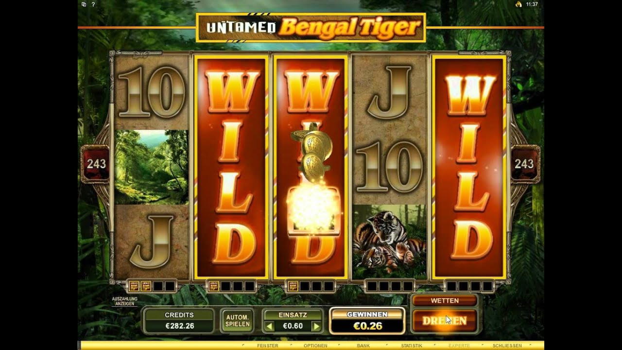 ﻿$185 Daily freeroll slot tournament at Grandivy Casino