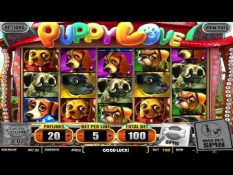 €555 Casino Tournament at Leo Dubai Casino