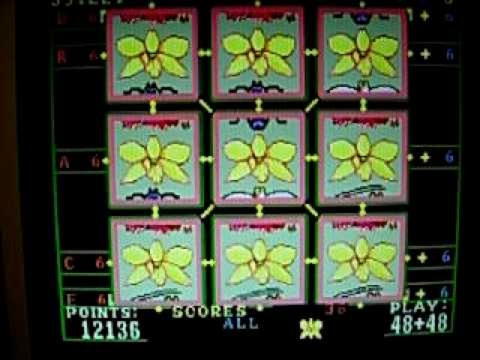 $515 Online Casino Tournament at Volt Casino